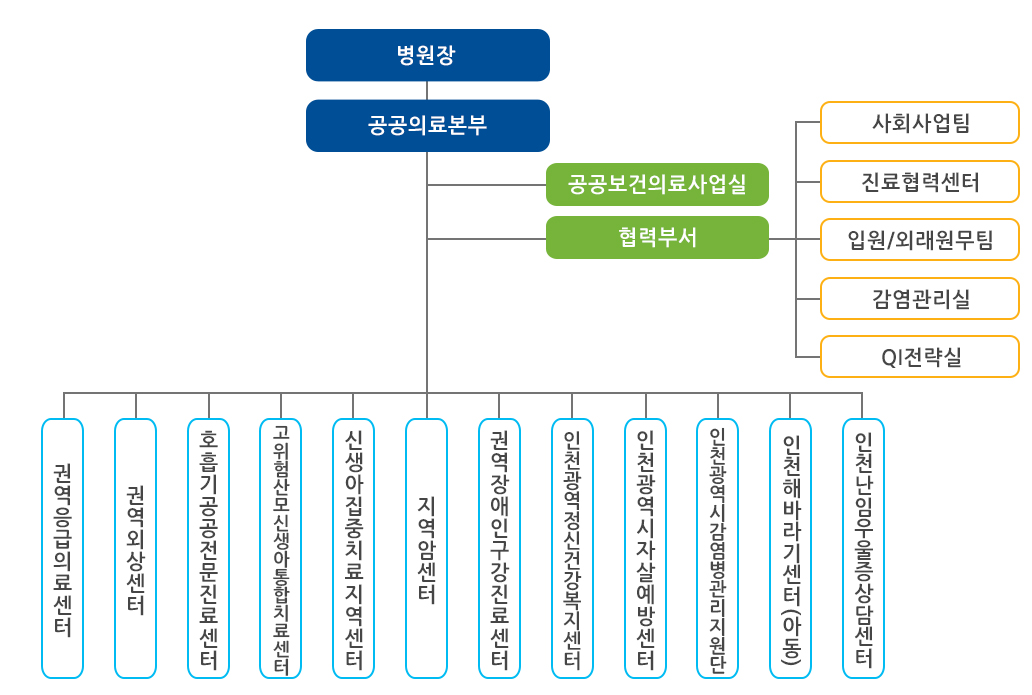 병원장 밑에 공공의료본부, 공공보건의료사업실, 사회사업팀, 진료협력센터, 입원/외래원무팀, 감염관리실, QI전략실, 권역응급의료센터, 권역외상센터, 호흡기공공전문진료센터, 고위험산모신생아통합치료센터, 신생아집중치료지역센터, 지역암센터, 권역장애인구강진료센터, 인천광역정신건강복지센터, 인천광역시자살예방센터, 인천광역시감염병관리지원단, 인천해바라기센터(아동), 인천난임우울증상담센터로 구성되어 있다.